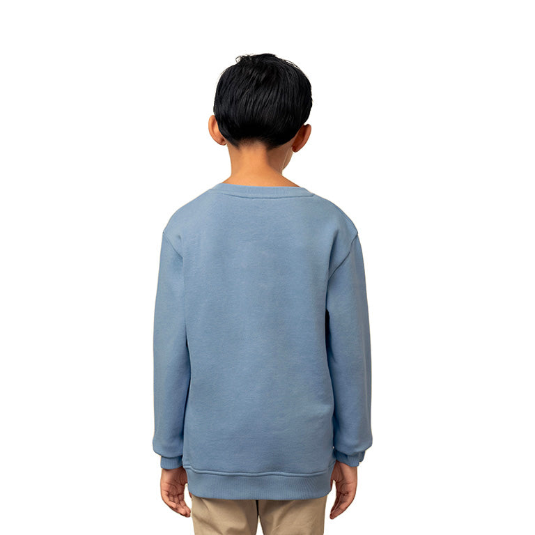 Polo Boys Adrian Sweater