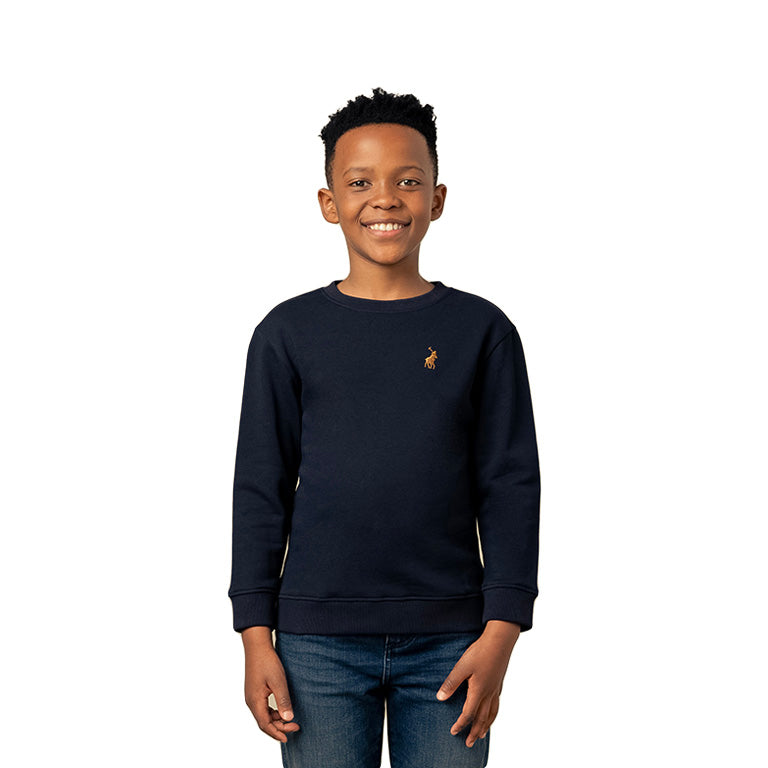 Polo Boys Adrian Sweater