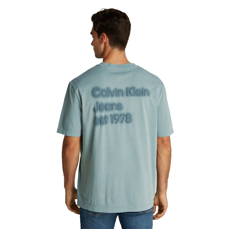 Calvin Klein Washed Puffed Print T-Shirt