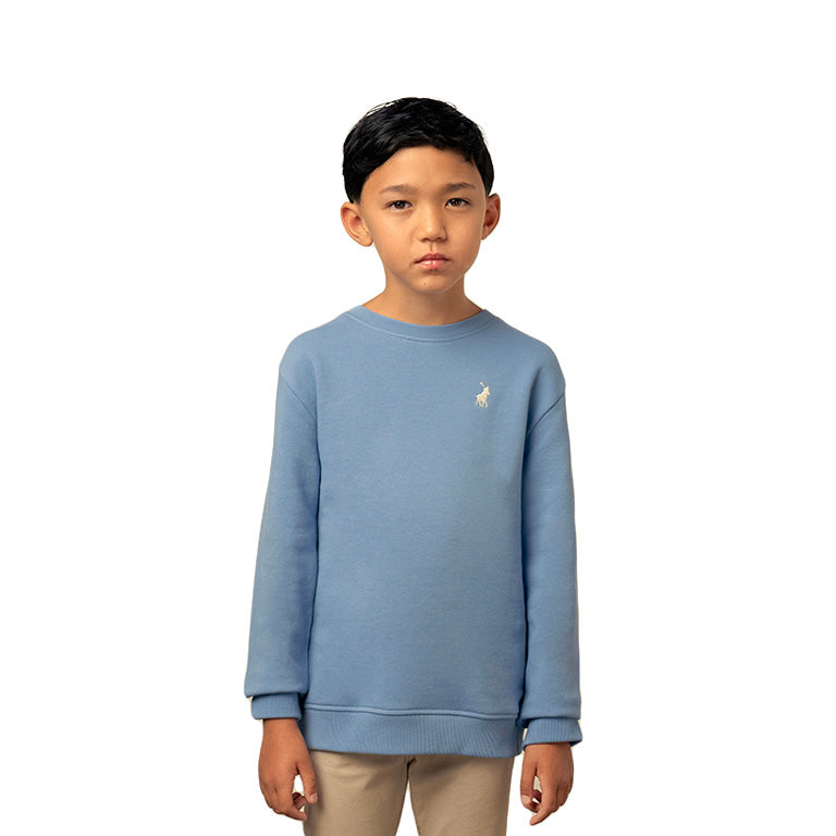 Polo Boys Adrian Sweater