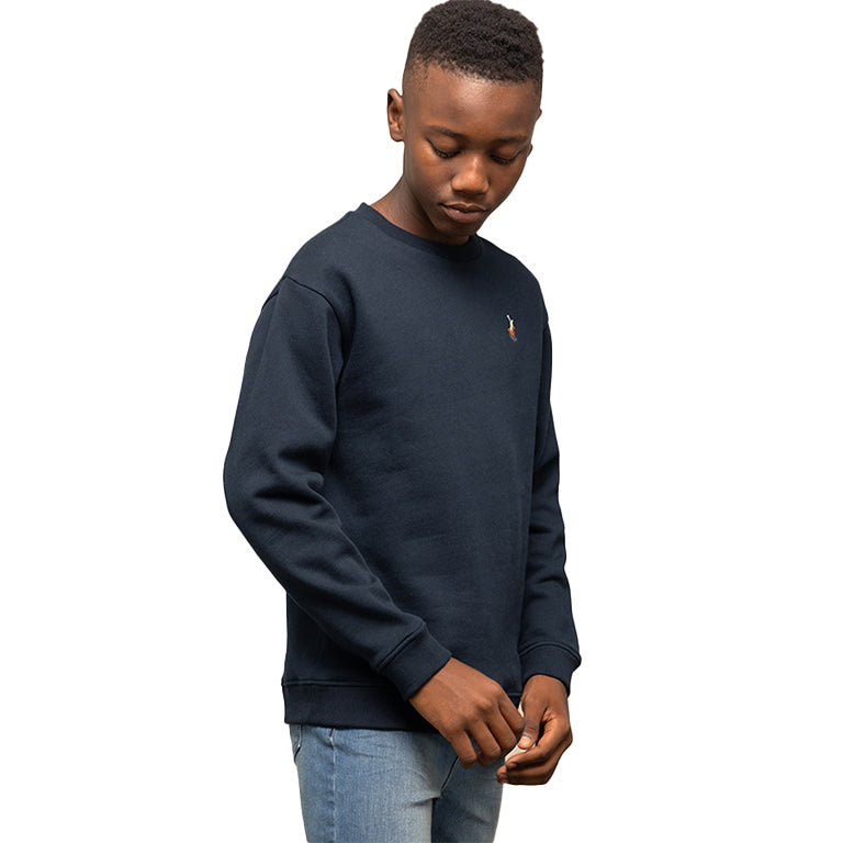 Polo Boys Adrian Sweater