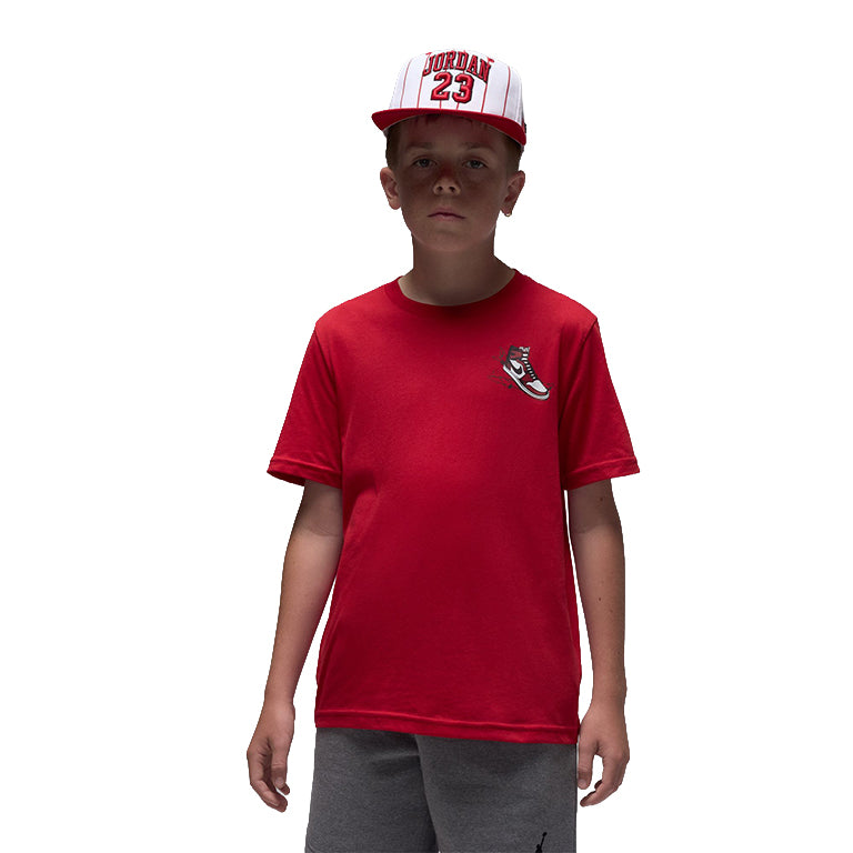 Jordan Older Kids Air Jordan Has Landed T-Shirt