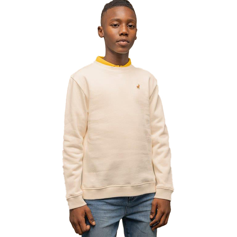 Polo Boys Adrian Sweater