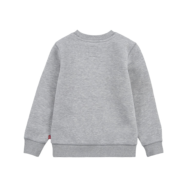 Levis Younger Kids Batwing Pullover