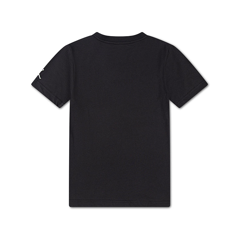 Jordan Older Kids MJ Brand Chain T-Shirt