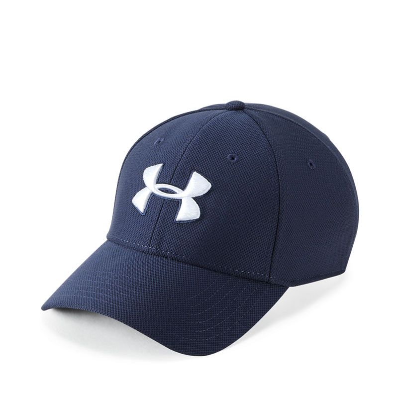 Under Armour Blitzing 3.0 Cap